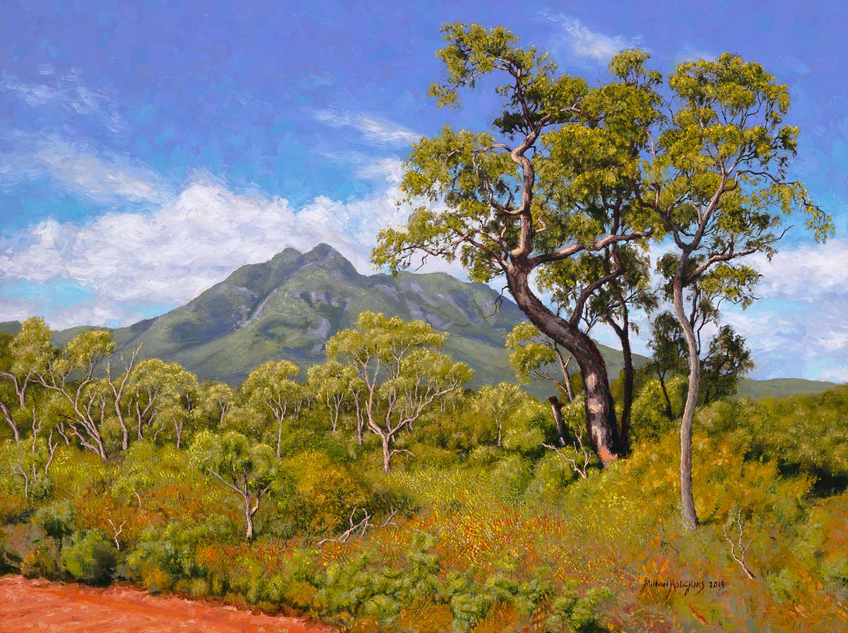 type parade hørbar Landscape, Stirling Range” Original Oil Painting | Michael Hodgkins