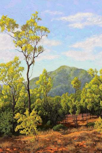 Afternoon In The Leichardt Range - Australian Landscape Oil Painting by Michael Hodgkins