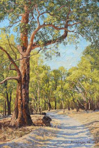 Afternoon Light in Helena Valley - Australian Landscape Oil Painting by Michael Hodgkins