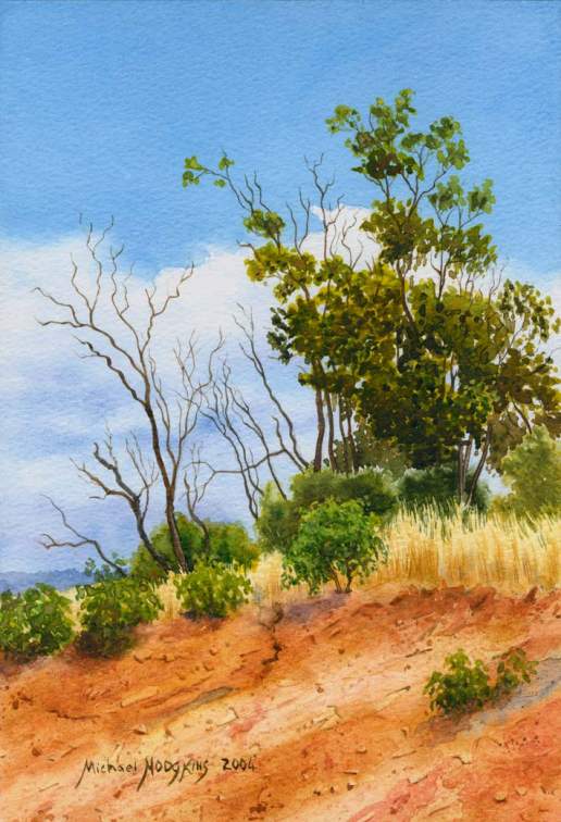 Bindoon Hillside - Australian Landscape Watercolour Painting by Michael Hodgkins