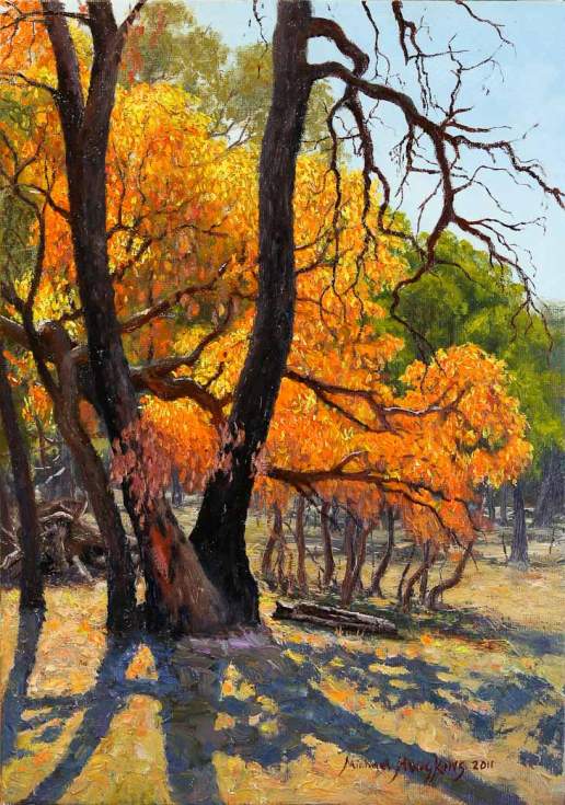 Blazing Orange Leaves - Australian Landscape Oil Painting by Michael Hodgkins