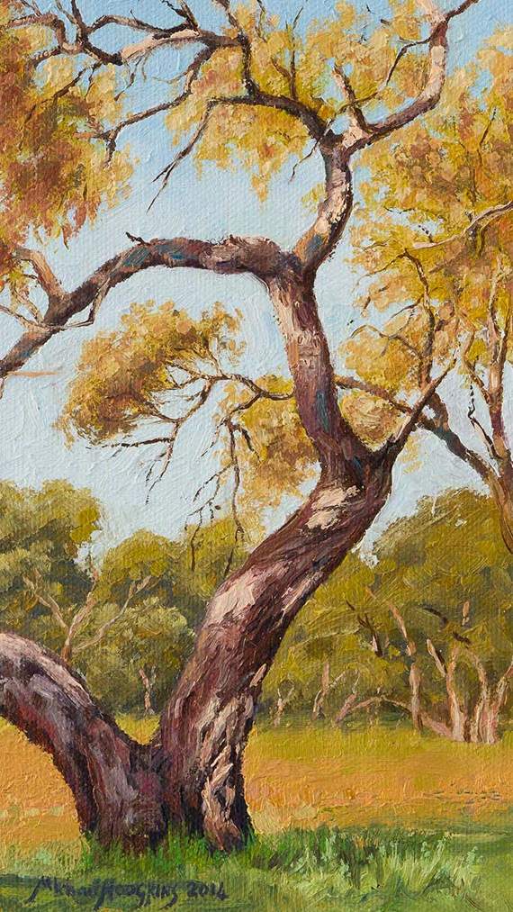 Darling River Tree Study 2 - Australian Landscape Oil Painting by Michael Hodgkins