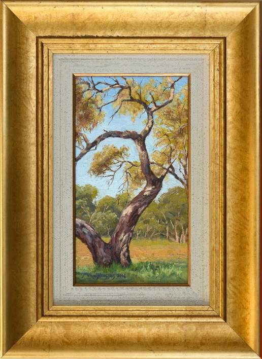 “Darling River Tree Study 4” Original 9 x 5 Oil Painting – Framed ...