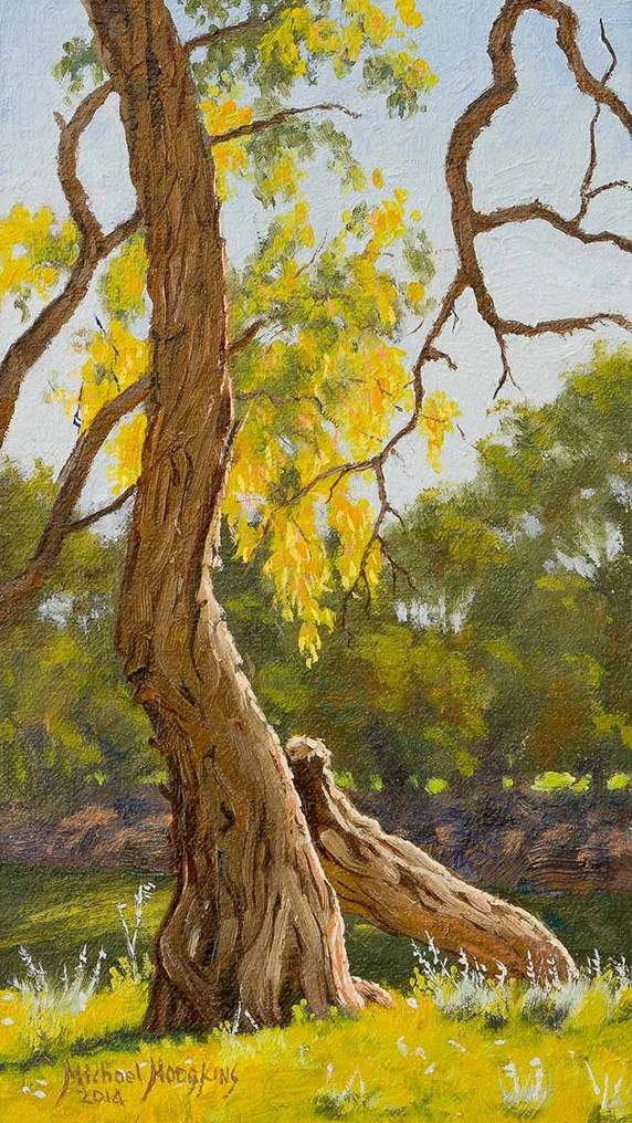 Darling River Tree Study 4 - Australian Landscape Oil Painting by Michael Hodgkins