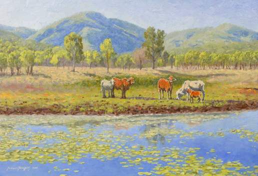 Mulgrave Cattle - Australian Landscape Oil Painting by Michael Hodgkins