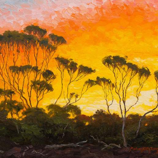 Norseman Sunset - Australian Landscape Oil Painting by Michael Hodgkins