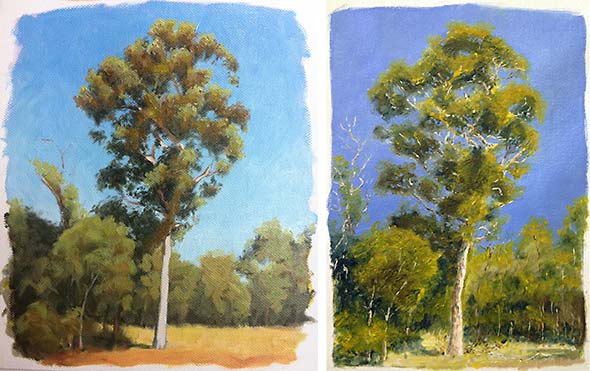 Tree Studies in Oil Paint